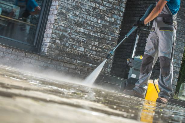 Best Soft Washing for Delicate Surfaces in Alton, IA