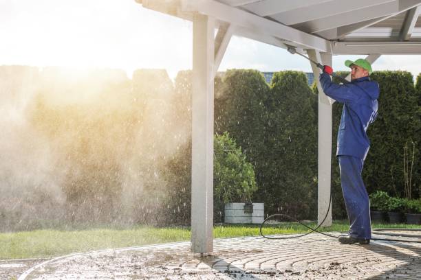 Best Sidewalk and Walkway Pressure Cleaning in Alton, IA