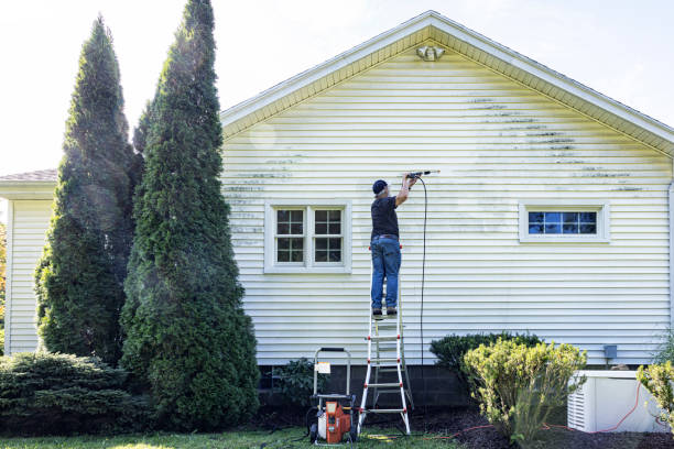 Best Window and Screen Pressure Cleaning in Alton, IA